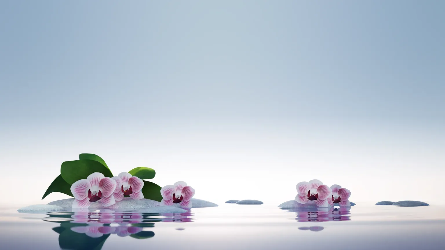 Rosa Orchideenblüten mit grünen Blättern auf glatten Steinen, die sich im ruhigen Wasser spiegeln, darüber ein weiter, heller Himmel